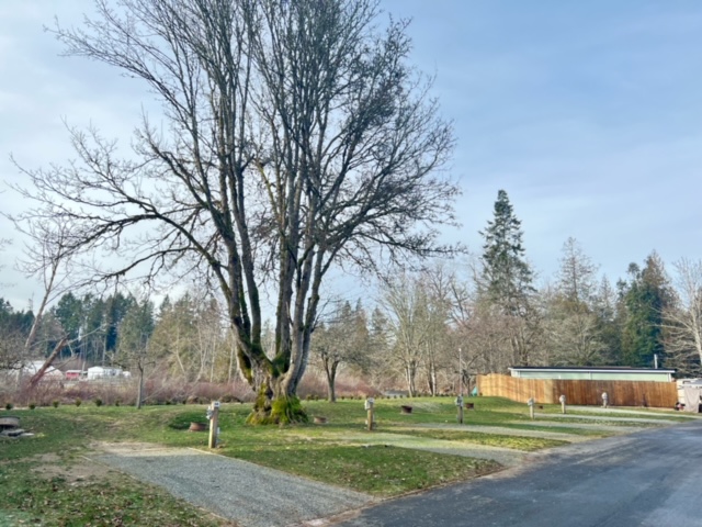 RV Site 2